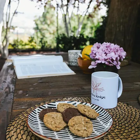 Karibu Boutique * 베가데산마테오