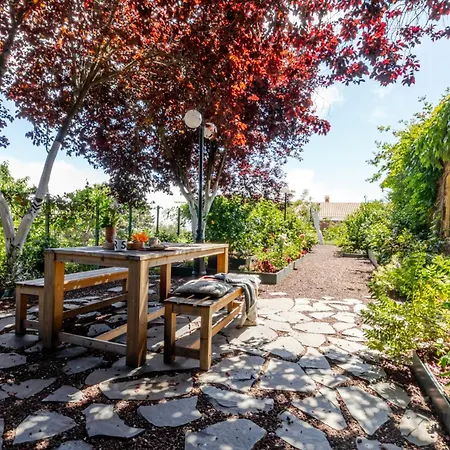 Karibu Boutique 베가데산마테오